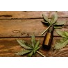 Hemp seed oil (10 ml. bottle)